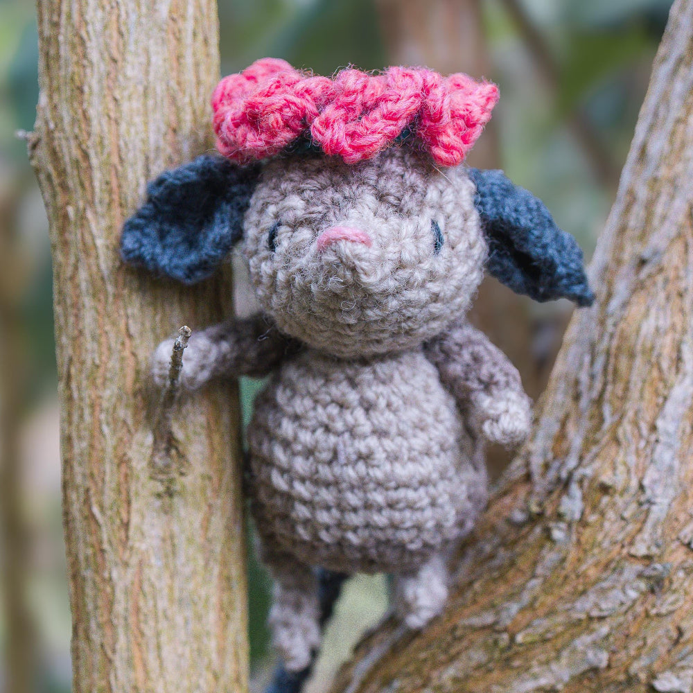 Odette the Pygmy Possum