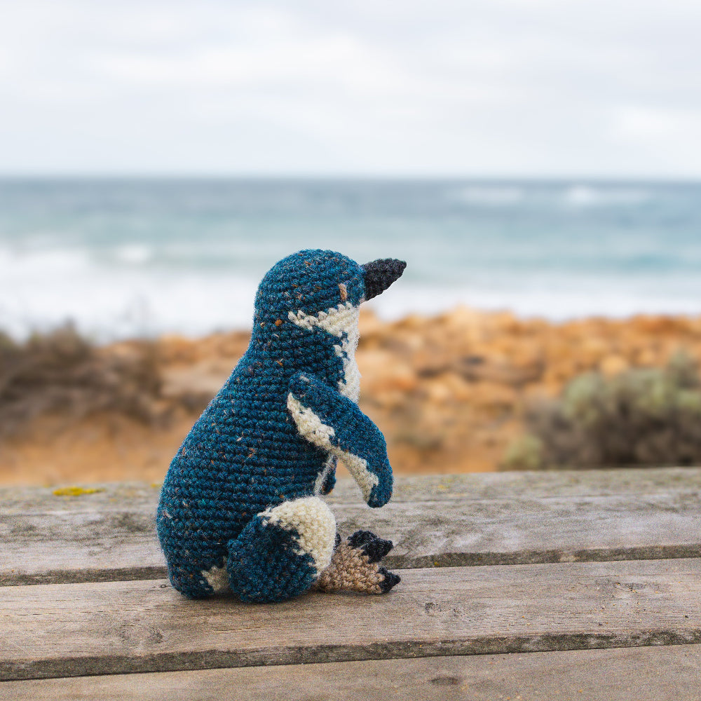 Isla the Fairy Penguin